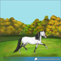 Horse Color:Platinum White Spotted Brown Tobiano Near Fewspot Rabicano 