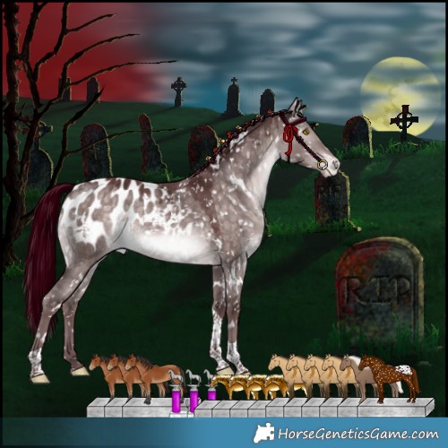 Horse Color:Platinum White Spotted Chocolate Bay Dun Mushroom Tobiano Appaloosa Rabicano 