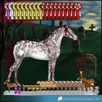 Horse Color:Platinum White Spotted Chocolate Bay Dun Mushroom Tobiano Appaloosa Rabicano