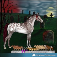 Horse Color:Platinum White Spotted Chocolate Bay Dun Mushroom Tobiano Appaloosa Rabicano 