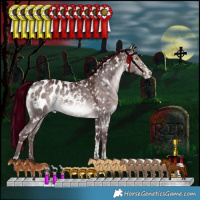 Horse Color:Platinum White Spotted Chocolate Bay Dun Mushroom Tobiano Appaloosa Rabicano 