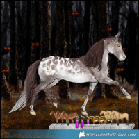 Horse Color:Platinum White Spotted Chocolate Bay Dun Mushroom Tobiano Appaloosa Rabicano