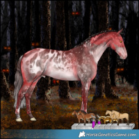 Horse Color:Platinum White Spotted Chocolate Bay Dun Mushroom Tobiano Appaloosa Rabicano
