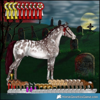 Horse Color:Platinum White Spotted Chocolate Bay Dun Mushroom Tobiano Appaloosa Rabicano 