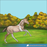 Horse Color:Brown Pearl Dun Tobiano Rabicano 