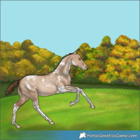 Horse Color:White Spotted Bay Pearl Dun Tobiano Rabicano 