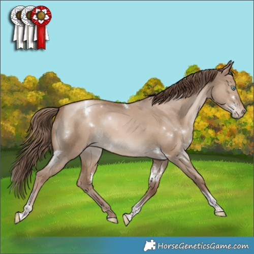 Horse Color:White Spotted Grullo Pearl Tobiano Appaloosa Rabicano 