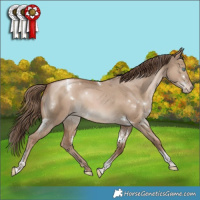 Horse Color:White Spotted Grullo Pearl Tobiano Varnish Rabicano 