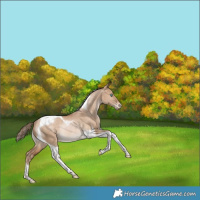 Horse Color:Bay Pearl Dun Tobiano Varnish Rabicano 