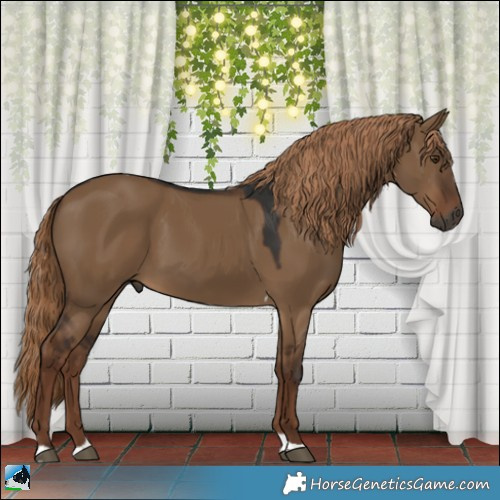 Horse Color:Gray White Spotted Liver Red Dun Tobiano 
