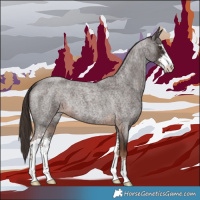 Horse Color:Liver Red Roan Sabino 