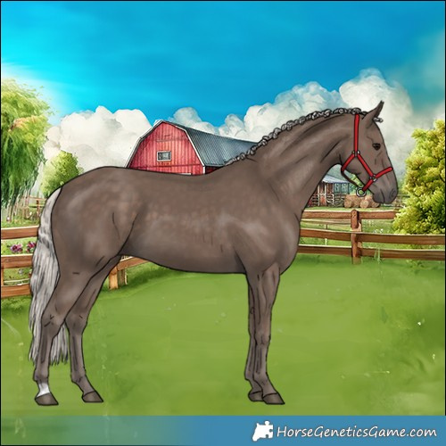 Horse Color:Silver Black 