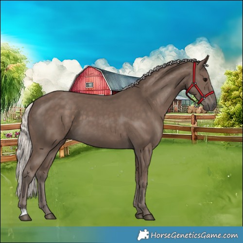 Horse Color:Silver Black 