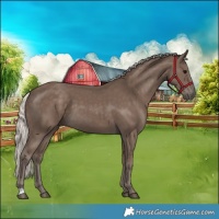 Horse Color:Silver Black 