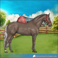 Horse Color:Silver Black 