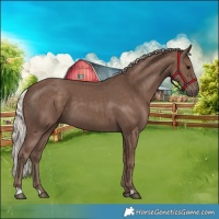 Horse Color:Silver Black 