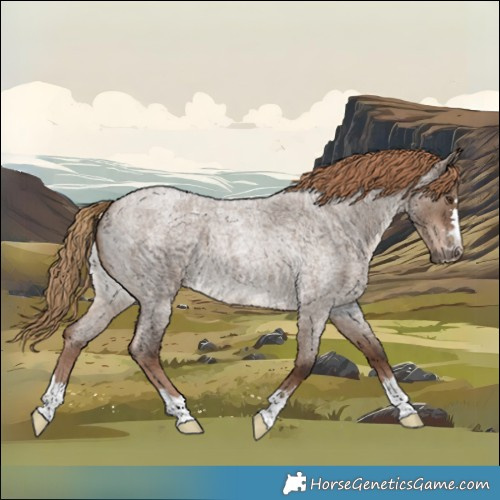 Horse Color:Liver Red Dun Roan