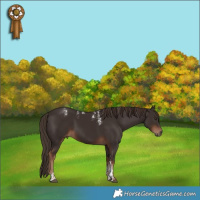 Horse Color:Powder White Liver Chestnut 