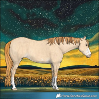 Horse Color:Red Dun and Red Dun