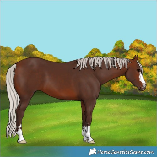 Horse Color:Silver Brown 