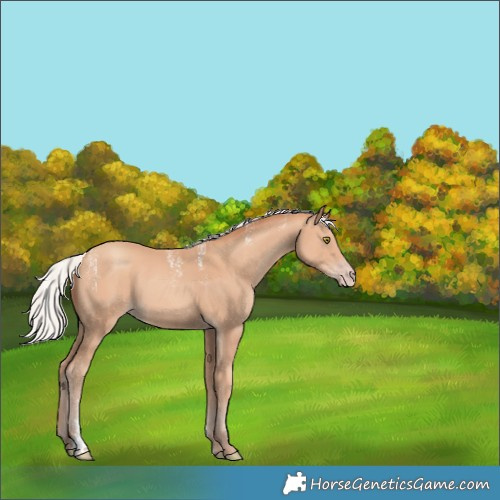 Horse Color:Powder White Silver Amber Champagne 
