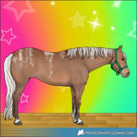 Horse Color:Powder White Silver Brown