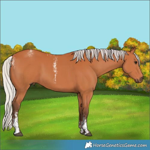 Horse Color:Powder White Silver Bay 