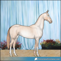 Horse Color:Gray Smoky Creme Roan 