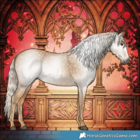 Horse Color:Gray Palomino 