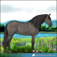 Horse Color:Smoky Grullo