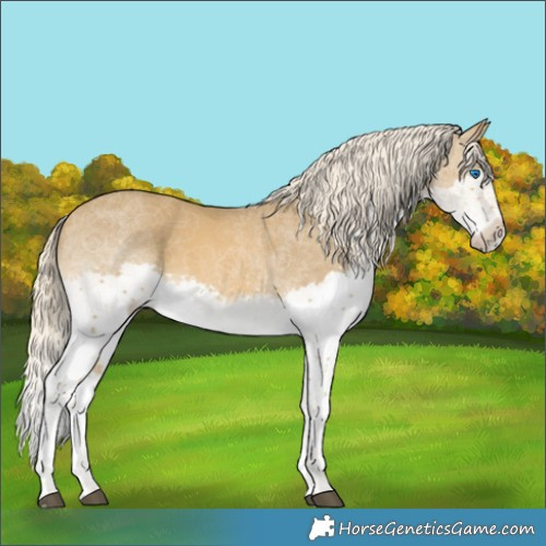 Horse Color:Chocolate Palomino Mushroom Splash 