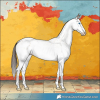 Horse Color:Bay Ice Roan Splash Near Leopard Rabicano 