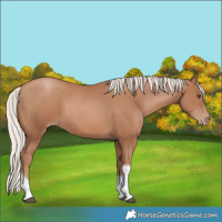 Horse Color:Silver Black Pearl Tobiano 