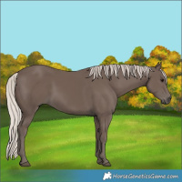 Horse Color:Silver Black 
