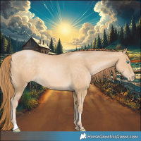Horse Color:Buckskin Pearl 