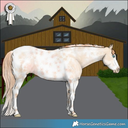 Horse Color:Buckskin Pearl Dun Tobiano Frame 