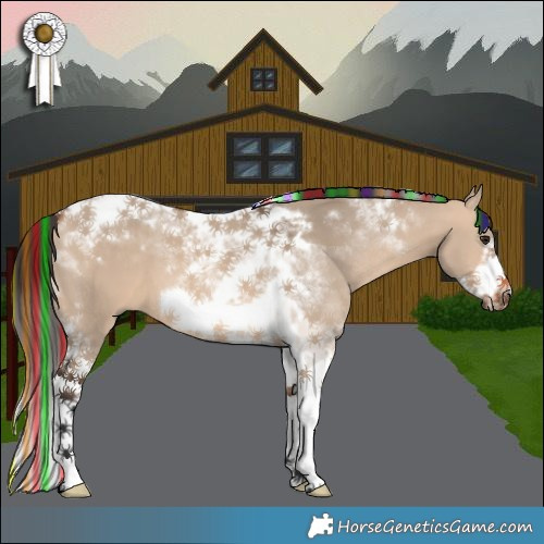 Horse Color:Painted Bay Dun Tobiano Frame 