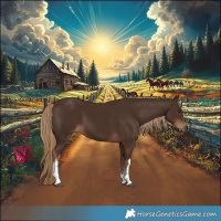Horse Color:White Spotted Liver Chestnut 