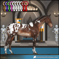 Horse Color:White Spotted Silver Brown Tobiano Appaloosa 