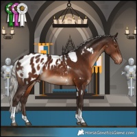 Horse Color:White Spotted Silver Brown Tobiano Appaloosa 