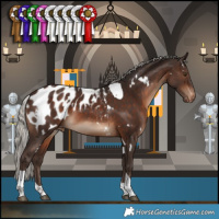 Horse Color:White Spotted Silver Brown Tobiano Appaloosa