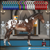 Horse Color:White Spotted Silver Brown Tobiano Blanket 