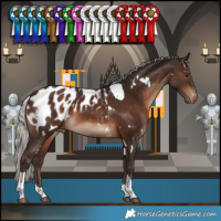 Horse Color:White Spotted Silver Brown Tobiano Appaloosa 