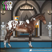 Horse Color:White Spotted Silver Brown Tobiano Appaloosa 