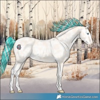 Horse Color:Painted Cremello Ice Tobiano 