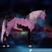 Horse Color:Void Painted Watercolor Chocolate Palomino Tobiano 