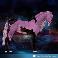 Horse Color:Void Painted Watercolor Chocolate Palomino Tobiano