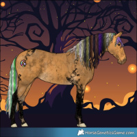 Horse Color:Void Painted Silver Buckskin Tobiano