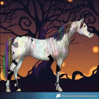 Horse Color:Painted Nacre Bay Ice Tobiano 