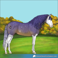 Horse Color:Watercolor Brown Splash 